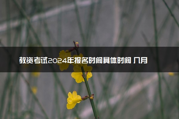 教资考试2024年报名时间具体时间 几月几号报考