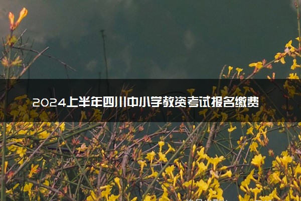 2024上半年四川中小学教资考试报名缴费标准 如何缴费