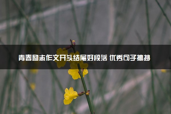 青春励志作文开头结尾好段落 优秀句子摘抄