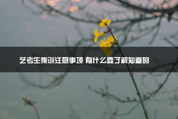 艺考生集训注意事项 有什么要了解知道的