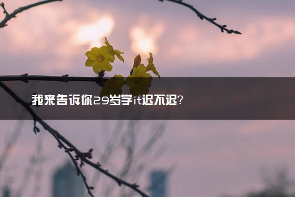 我来告诉你29岁学it迟不迟？