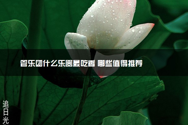 管乐团什么乐器最吃香 哪些值得推荐