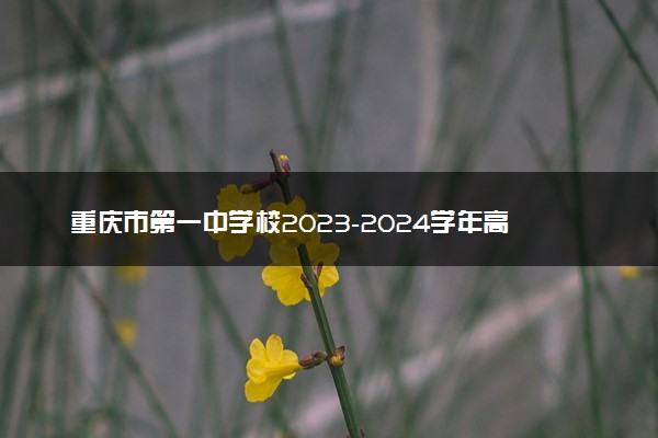 重庆市第一中学校2023-2024学年高三上12月月考物理试卷  Word版无答案