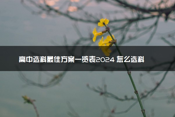 高中选科最佳方案一览表2024 怎么选科最吃香