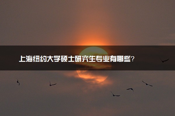 上海纽约大学硕士研究生专业有哪些？