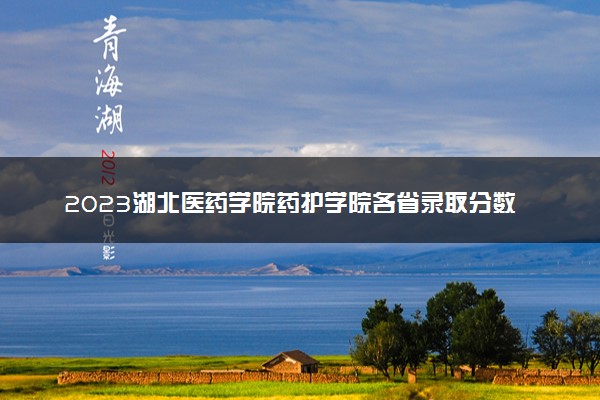 2023湖北医药学院药护学院各省录取分数线是多少 投档最低分及位次