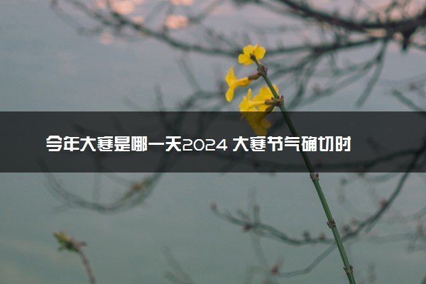 今年大寒是哪一天2024 大寒节气确切时间