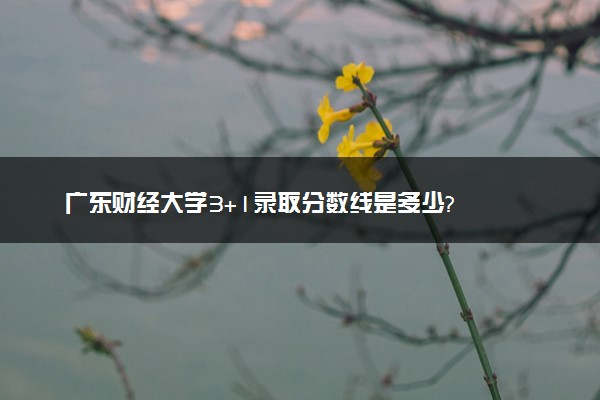 广东财经大学3+1录取分数线是多少?