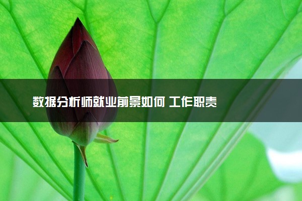 数据分析师就业前景如何 工作职责