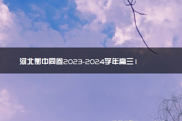 河北衡中同卷2023-2024学年高三1月考试数学答案