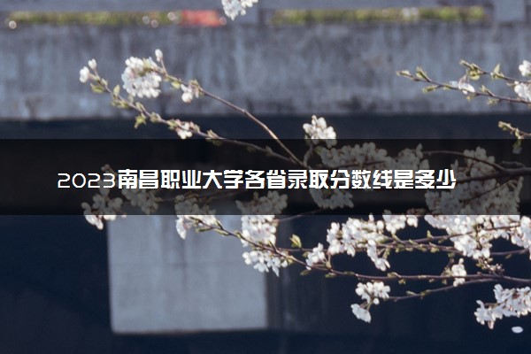 2023南昌职业大学各省录取分数线是多少 投档最低分及位次