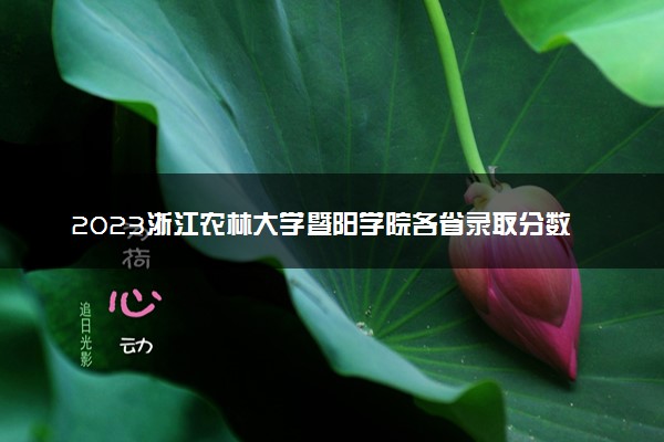 2023浙江农林大学暨阳学院各省录取分数线是多少 投档最低分及位次