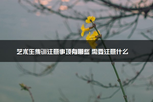 艺术生集训注意事项有哪些 需要注意什么