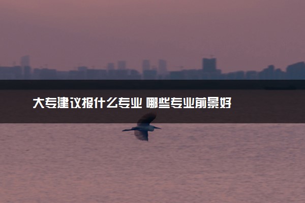 大专建议报什么专业 哪些专业前景好