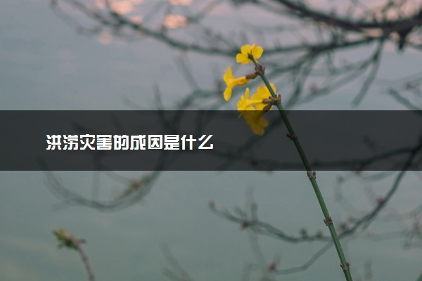 洪涝灾害的成因是什么