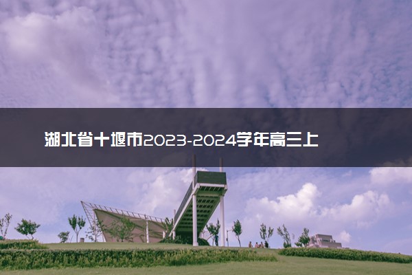 湖北省十堰市2023-2024学年高三上学期元月调考考试历史试卷