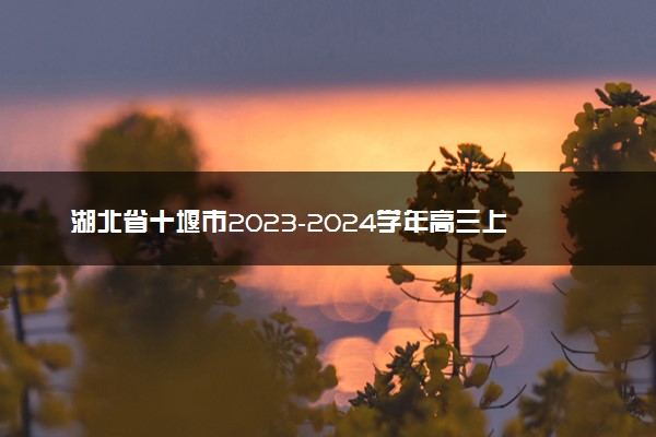 湖北省十堰市2023-2024学年高三上学期元月调研考试英语试卷