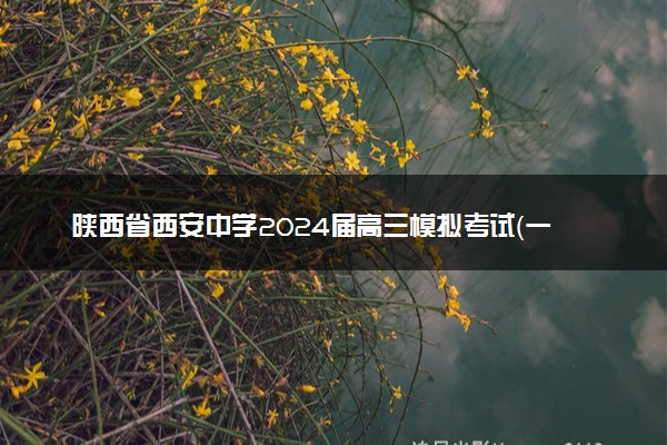 陕西省西安中学2024届高三模拟考试（一）文科数学试题