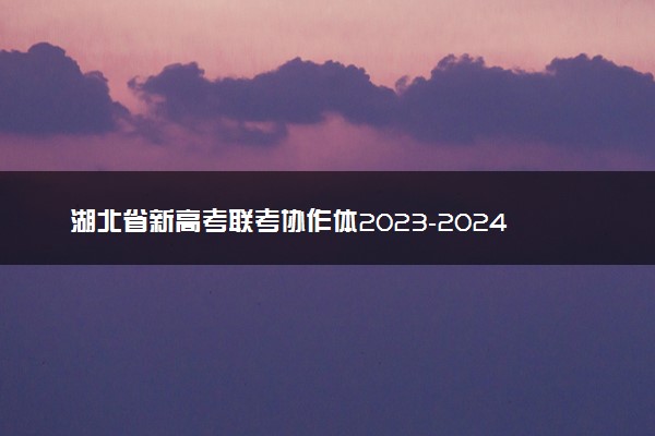 湖北省新高考联考协作体2023-2024学年高三下学期开学考试化学