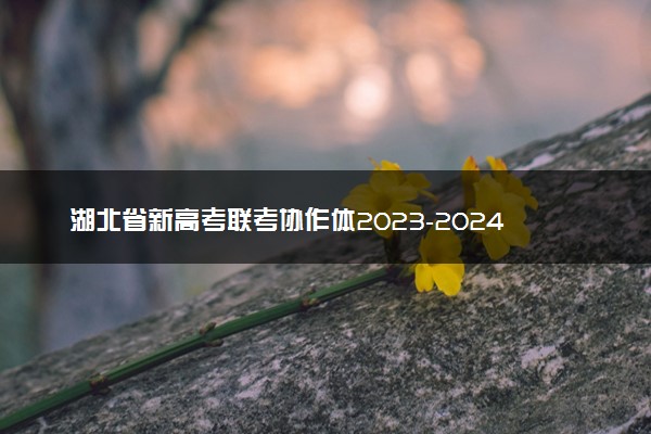 湖北省新高考联考协作体2023-2024学年高三下学期开学考政治试题