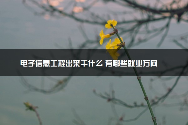 电子信息工程出来干什么 有哪些就业方向