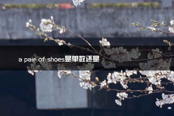 a pair of shoes是单数还是复数