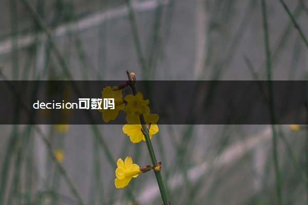 decision可数吗