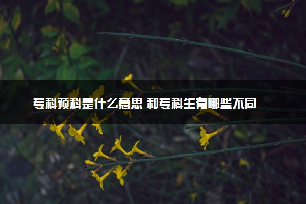 专科预科是什么意思 和专科生有哪些不同