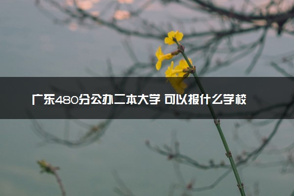 广东480分公办二本大学 可以报什么学校