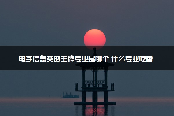 电子信息类的王牌专业是哪个 什么专业吃香