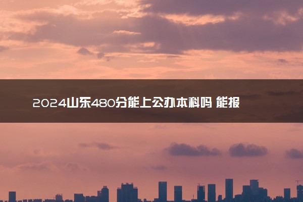 2024山东480分能上公办本科吗 能报考哪些院校