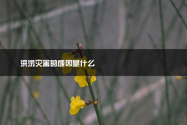 洪涝灾害的成因是什么