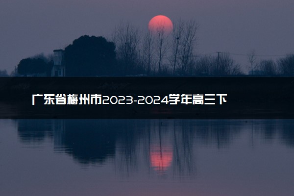 广东省梅州市2023-2024学年高三下学期总复习质检试题（一模）政治答案