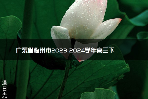 广东省梅州市2023-2024学年高三下学期总复习质检试题（一模）历史