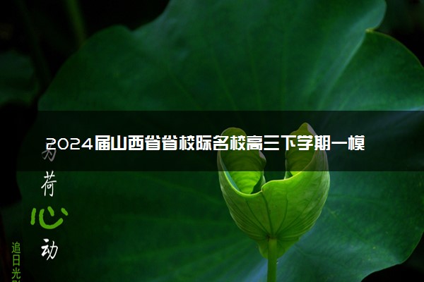 2024届山西省省校际名校高三下学期一模联考文综试题