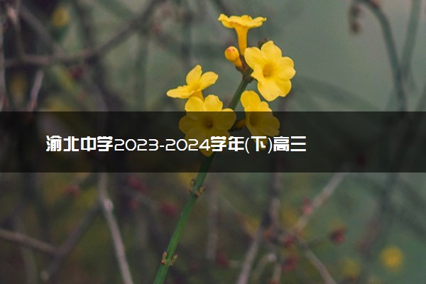 渝北中学2023-2024学年（下）高三2月月考质量监测地理答案