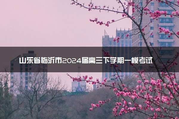 山东省临沂市2024届高三下学期一模考试数学试题(无答案)