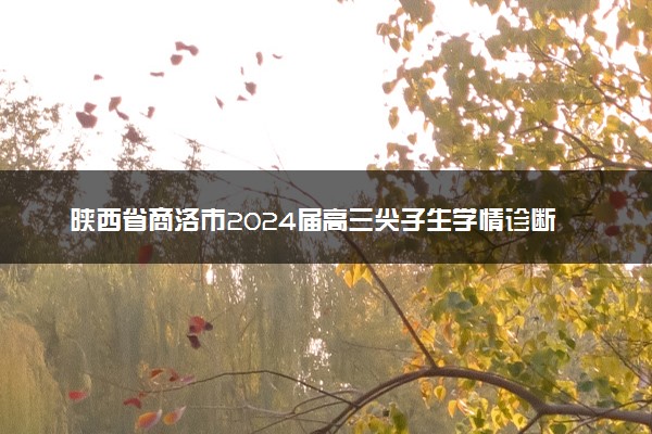 陕西省商洛市2024届高三尖子生学情诊断考试（第二次）文综