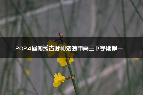 2024届内蒙古呼和浩特市高三下学期第一次质量数据监测（一模）理科综合试卷