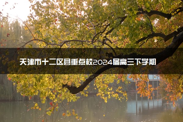 天津市十二区县重点校2024届高三下学期第一次模拟考试 地理 PDF版含答案