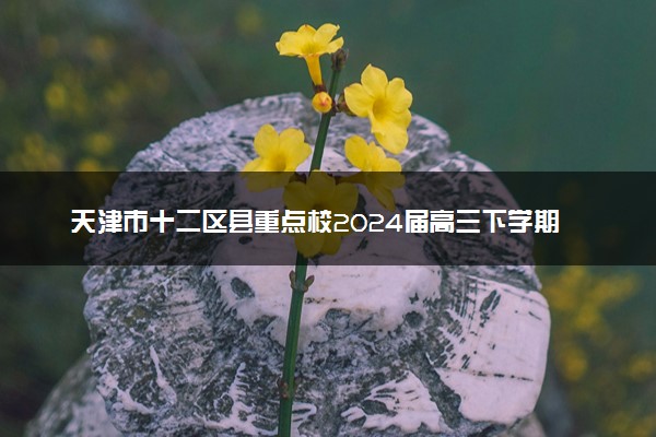 天津市十二区县重点校2024届高三下学期第一次模拟考试 数学 Word版含答案