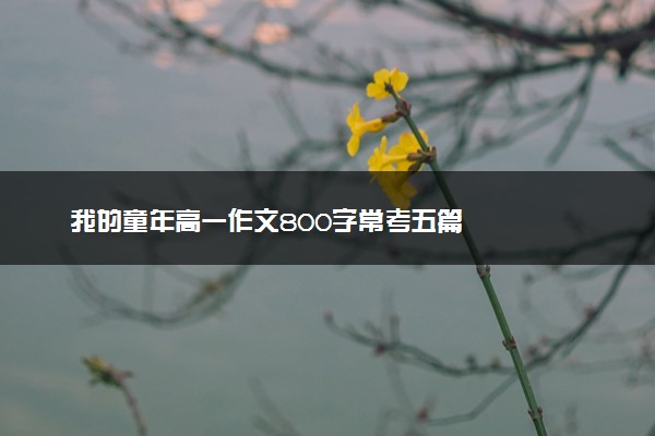 我的童年高一作文800字常考五篇