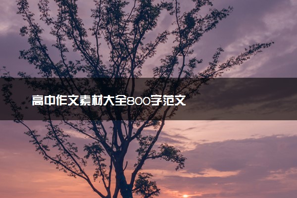 高中作文素材大全800字范文