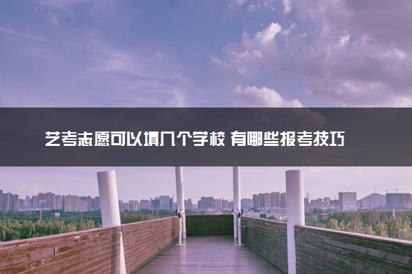 艺考志愿可以填几个学校 有哪些报考技巧