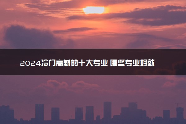 2024冷门高薪的十大专业 哪些专业好就业