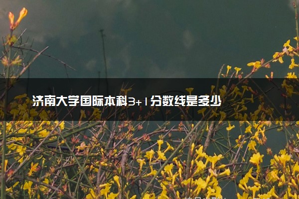 济南大学国际本科3+1分数线是多少