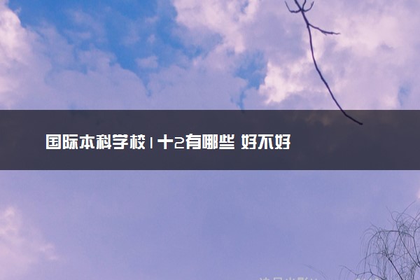 国际本科学校1十2有哪些 好不好