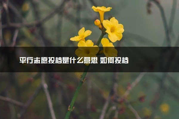 平行志愿投档是什么意思 如何投档