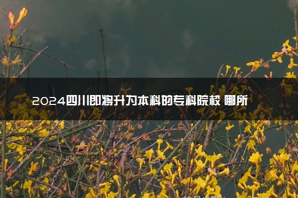 2024四川即将升为本科的专科院校 哪所院校升本