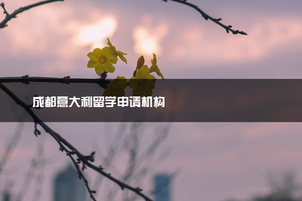 成都意大利留学申请机构